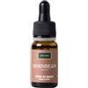 SOLIME Srl HORNBEAM 10ML