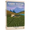 Warner Bros. HARRY POTTER E IL CALICE DI FUOCO TRAVEL ART (DS)