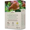 BERARDI | Lumachicida Ironite PFnPE, Esca Granulare Bio, 1 kg, Per Protezione Ortaggi e Piante Ornamentali
