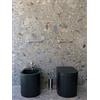 Ceramica Flaminia Wc Astra Goclean Carbone - Sedile in Termoindurente: SENZA SEDILE