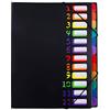 JUVEL Cartelle a Soffietto Espandibili - Cartellina Portadocumenti Espandibile Portatile Accordion File 12 Tasche Cartella Portadocumenti Organizer per Ufficio della Società Casa (Nero)