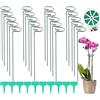 Lostwry Supporto per piante, 40 cm, 20 pezzi, supporto per fiori, piante perenni, in acciaio, con anello per fiori, gigli, peonie, rose, pomodori
