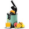 Cecotec Spremiagrumi elettrico a braccio per arance e agrumi Xqueeze RetroJuice 600 Green. 600 W, stile retrò, filtro in acciaio inox, cono in plastica, leva per estrarre la polpa, antigoccia