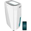 Cecotec - Deumidificatore Big Dry 4000 Expert. Timer 24 h, silenzioso indicatore LED (Bianco, BigDry 4000 Expert Connected)