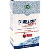 DIURERBE FORTE POCK DRINK MELO
