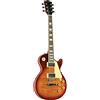 Eko VL-480 Aged Cherry Sunburst Flamed