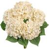 Hollyone Mazzo di ortensie artificiali giallo pallido, grande bouquet di ortensie finte in seta sintetica per decorazione della casa, composizione floreale, matrimoni, mazzi di fiori, decorazioni per