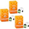 English Tea Shop | Infuso BIO Curcuma Zenzero Citronella | Tisana Senza Caffeina - 3 x 20 Filtri in Eco Box (105 Gr) | Erbe Liquirizia e Spezie per Infusione