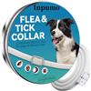Inpumo Collare Antiparassitario per Cani, Collare Antipulci Cane, Olio Essenziale Naturale 10 Mesi di Protezione Impermeabile Regolabile per Cani di Taglia Piccola Media e Grande 65CM (1 pack)