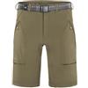 Ferrino Hervey Short