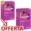 Candioli Dog Fypermid Combo Oltre 40 Kg Spot-On - Offerta [PREZZO A CONFEZIONE] Quantità minima 4, Confezione da 3 Pipette