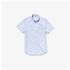 CAMICIA LACOSTE RIGHE BIANCO AZZURRO