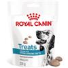 Royal Canin Hypoallergenic Treats snack per cane 230 g