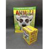 box Panini 50 bustine + ALBUM STICKERS PANINI ANIMALI Edizione 2020/21