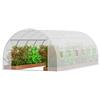 VEVOR Serra tunnel serra fredda per verdure piante in PE 590x295x198 cm bianco