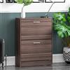 Vida Designs Scarpiera con 2 cassetti, armadio, scarpiera, organizer per mobili in legno, unità in legno, noce