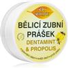 Bione Cosmetics Dentamint Propolis 40 g