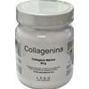 Labo International Collagenina Collagene Marino 60 gr integratore 240 gr