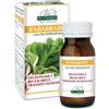 DR.GIORGINI SER-VIS Srl RABARBARO 80PAST