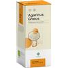GHEOS Srl AGARICUS GHEOS 90 CAPSULE DA 540 MG