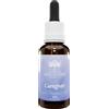BUSH BIOTHERAPIES Pty Ltd CAREGIVER 30ml