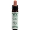 Santiveri Ainsworths Dr.Bach n°6 Cherry Plum Prunus Cerasifera 10 ml Gocce orali