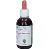 Santiveri Horti Celati Passiflora Bio Gocce 50 ml orali