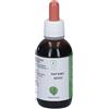 Santiveri Horti Celati Rafano Nero Bio Gocce 50 ml orali
