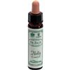 Ainsworths Dr.Bach n°15 Holly Ilex Aquifolium 10 ml Gocce orali