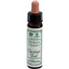 Santiveri Ainsworths Dr.Bach n°7 Chestnut Bud Aesculus Hippocastanum 10 ml Gocce orali