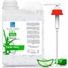 bleu & marine Bretania Gel di Aloe Vera Puro 100%, Foglio Fresco Coltivato Ecologico delle Canarie, Idratante Viso, Corpo e Capelli - Lenitivo per Scottature e Irritazioni, Dopo Sole, Dopobarba, Post-Depilazione 1000 ml