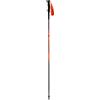 DYNAFIT ALPINE POLE Bastoncini per Trail Running
