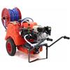 AgriEuro TOP-LINE Kit motopompa irroratrice Comet APS 41 Honda GX 160 e carrello Dal Degan - Serbatoio 150 lt