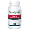 Erba Vita Gymnema Sylvestre Integratore Metabolismo Carboidrati E Lipidi 60 Capsule