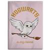 AYMAX Harry Potter Hedwig - Coperta in peluche, 110 x 150 cm