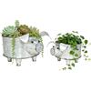 ShabbyDecor YurDoca Set di 2 ciotole galvanizzate a forma di maialino, per frutta o fioriere decorative