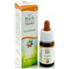GUNA FIORI DI BACH Guna Gentian Gocce 10Ml