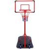 Teorema Canestro da Basket - Altezza 250 cm
