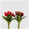 Enzo De Gasperi EDG Enzo De Gasperi Set 2 Bouquet Di Tulipani sfumature di rosso H28 cm