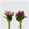Enzo De Gasperi EDG Enzo De Gasperi Set 2 Bouquet Di Tulipani Sfumature di Rosa H28 cm