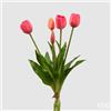 Enzo De Gasperi EDG Enzo de Gasperi Bouquet di tulipani Fuxia