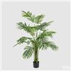 Enzo De Gasperi EDG Enzo De Gasperi Pianta Palma Areca con Vaso H150 cm