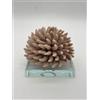 SARA'S IDEA RICCIANE' SU BASE CRISTALLO 10x10x8.5 COLORE TORTORA