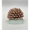 SARA'S IDEA RICCIANE' SU BASE CRISTALLO 7.5X7.5X6.5 COLORE TORTORA