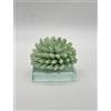 SARA'S IDEA RICCIANE' SU BASE CRISTALLO 7.5X7.5X6.5 COLORE ACQUAMARINA
