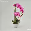 Enzo De Gasperi EDG Enzo De Gasperi Pianta artificiale Pianta artificiale Orchidea Vaso Fuxia H 50