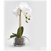 Enzo De Gasperi EDG Enzo De Gasperi Pianta artificiale Orchidea Vaso Tt. White 52 cm