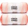Caron CAR Jumbo Ombre Salmon Yarn - Confezione da 2 gomitoli da 340 g, 100% acrilico, pettinati #4 (medio), 500 m, per lavori a maglia/uncinetto