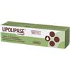 AMNOL CHIMICA BIOLOGICA SRL Lipolipase Crema Gel Anticellulite 150 Ml Snellenti E Rassodanti