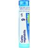 Boiron Carbo Vegetabilis 9 Ch Granuli 4 g Multidose